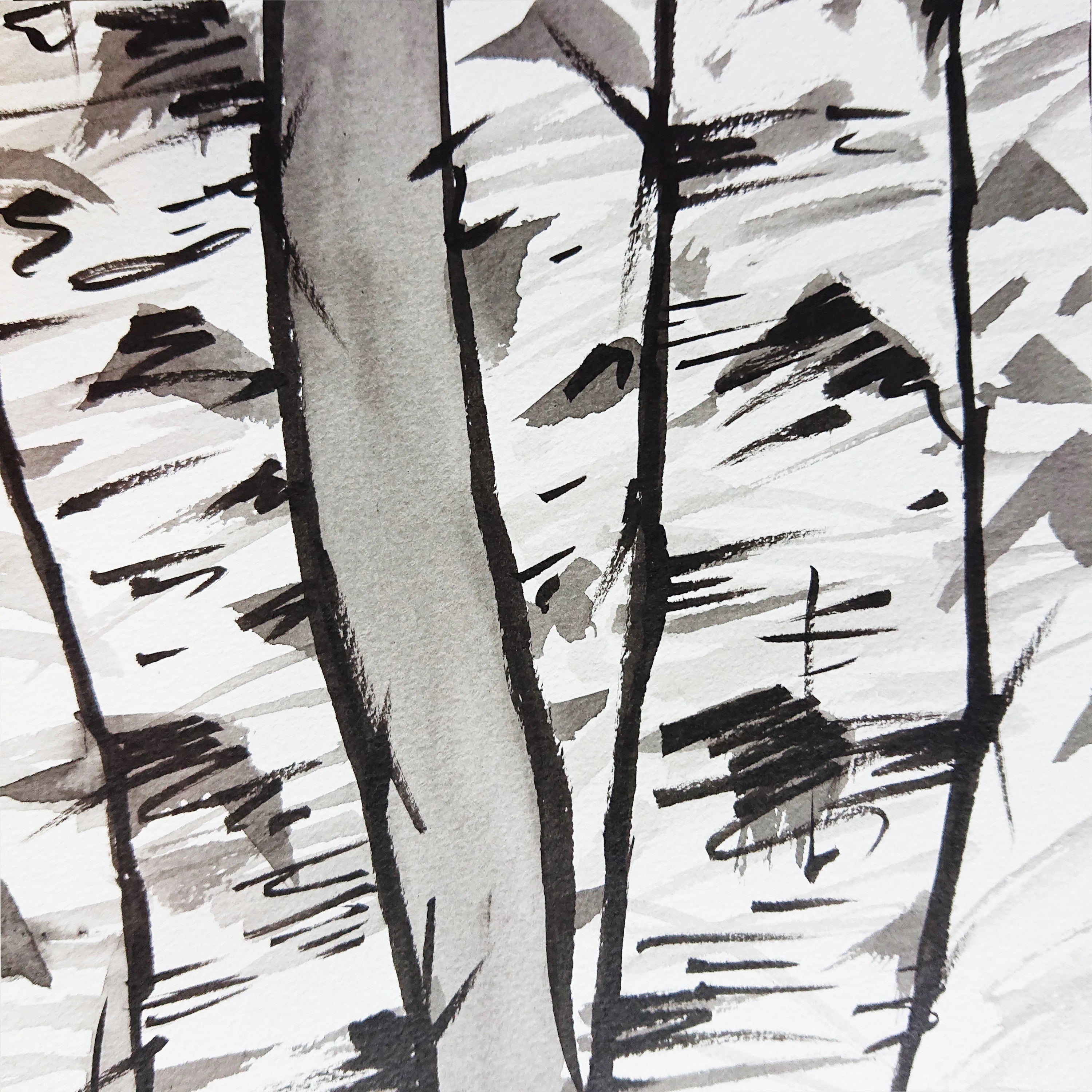 No. 22 The Birch Forest